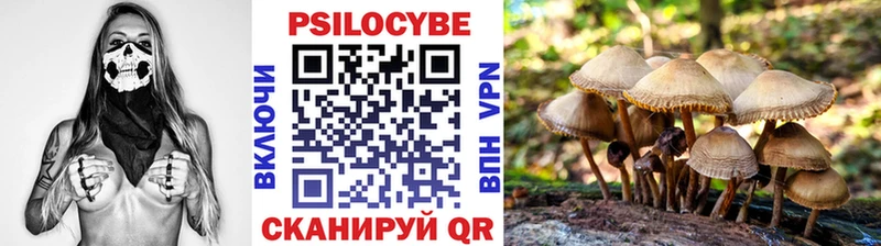 Галлюциногенные грибы прущие грибы  купить закладку  Новая Ляля 
